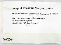 登錄號:F0006259藏品圖，第2張