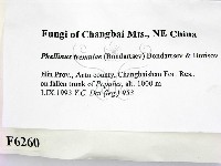 登錄號:F0006260藏品圖，第2張