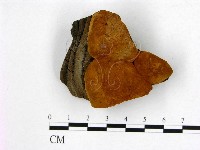 登錄號:F0006260藏品圖，第1張