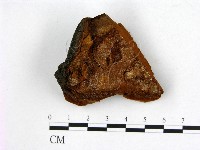 登錄號:F0006260藏品圖，第3張