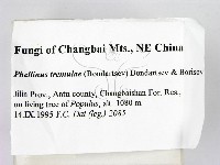 登錄號:F0006261藏品圖，第2張