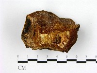 登錄號:F0006261藏品圖，第3張