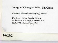 登錄號:F0006262藏品圖，第2張