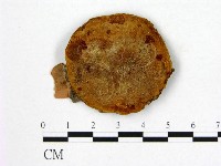 登錄號:F0006262藏品圖，第1張