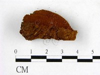 登錄號:F0006264藏品圖，第3張