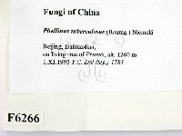 登錄號:F0006266藏品圖，第2張