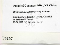 登錄號:F0006267藏品圖，第2張