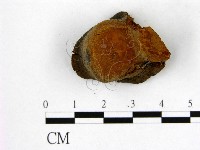 登錄號:F0006267藏品圖，第1張