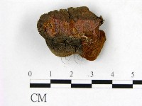 登錄號:F0006267藏品圖，第3張