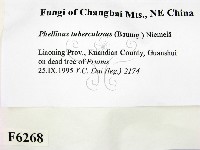 登錄號:F0006268藏品圖，第2張