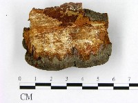 登錄號:F0006268藏品圖，第3張