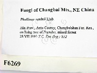 登錄號:F0006269藏品圖，第2張