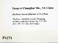 登錄號:F0006271藏品圖，第2張