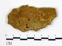 登錄號:F0006271藏品圖，第1張