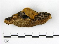 登錄號:F0006272藏品圖，第3張