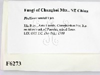 登錄號:F0006273藏品圖，第2張