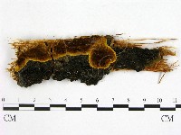 登錄號:F0006274藏品圖，第1張