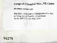 登錄號:F0006275藏品圖，第2張