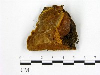 登錄號:F0006275藏品圖，第1張