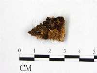 登錄號:F0006276藏品圖，第1張