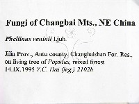 登錄號:F0006277藏品圖，第2張