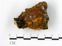 登錄號:F0006277藏品圖，第1張