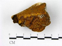 登錄號:F0006277藏品圖，第3張