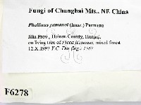 登錄號:F0006278藏品圖，第2張