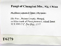 登錄號:F0006279藏品圖，第2張