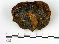 登錄號:F0006279藏品圖，第3張