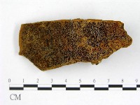 登錄號:F0006280藏品圖，第1張