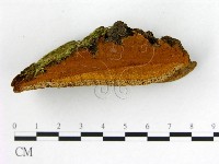 登錄號:F0006280藏品圖，第3張