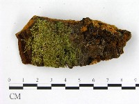 登錄號:F0006280藏品圖，第4張