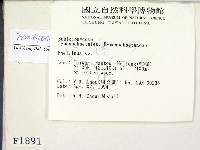登錄號:F0006281藏品圖，第2張