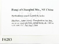 登錄號:F0006283藏品圖，第2張