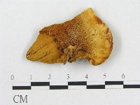 登錄號:F0006283藏品圖，第4張