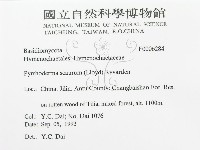 登錄號:F0006284藏品圖，第3張