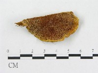 登錄號:F0006284藏品圖，第1張