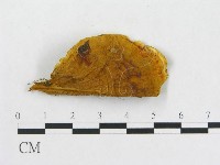 登錄號:F0006284藏品圖，第4張