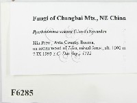 登錄號:F0006285藏品圖，第2張