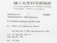 登錄號:F0006285藏品圖，第3張