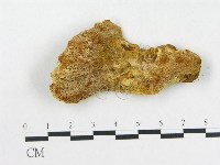 登錄號:F0006285藏品圖，第4張