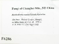 登錄號:F0006286藏品圖，第2張