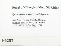 登錄號:F0006287藏品圖，第2張