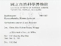 登錄號:F0006287藏品圖，第3張