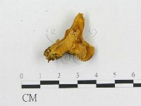 登錄號:F0006287藏品圖，第1張