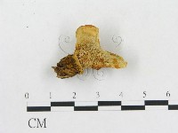 登錄號:F0006287藏品圖，第4張