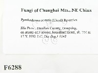 登錄號:F0006288藏品圖，第2張