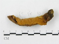 登錄號:F0006288藏品圖，第1張