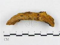 登錄號:F0006288藏品圖，第5張